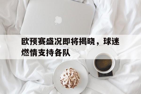 欧预赛盛况即将揭晓，球迷燃情支持各队