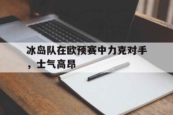 冰岛队在欧预赛中力克对手，士气高昂